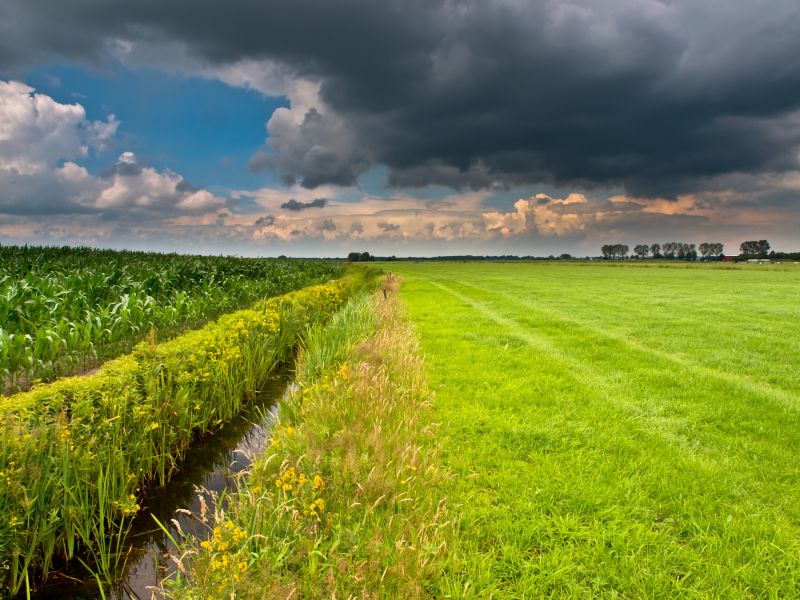 Land Grading Service Costs — Cost of Land Grading Service