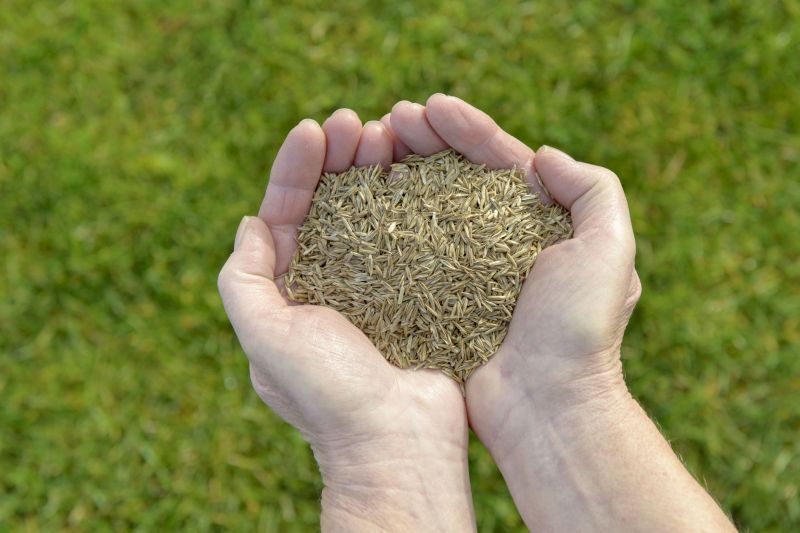 Land Grading Service