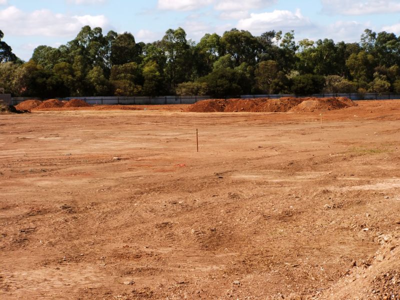 Land Preparation Service in Houston, TX
