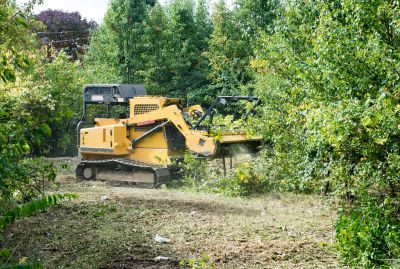 Site Clearing Service in Marietta, GA