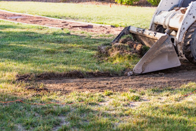 Land Grading Service Options and Insights